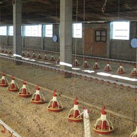 Ceres Oficina Técnica Agrícola, S.L. proyectos de ingeniería 6